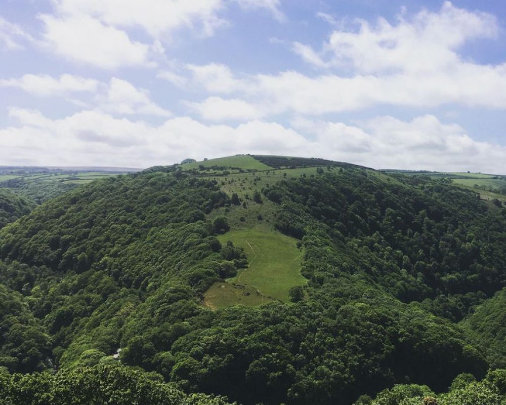 6ca2e9_38d115fc026547c5ba94c979d7a4f351~mv2