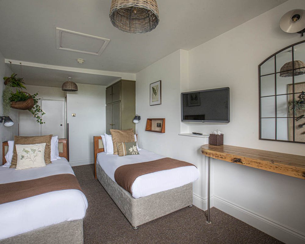 Sea View Twin Fernery (1)